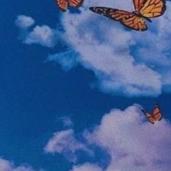 Вероника Жолтикова, 18.08, Ульяновск