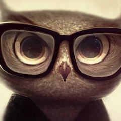 Снежана Лобанова, 20.11, Череповец