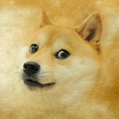 Данила Метелёв, Пермь