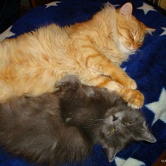 Вера Оскольская, 23.07, Краснодар