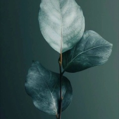 Дарья Позднякова, 08.07, Ярославль