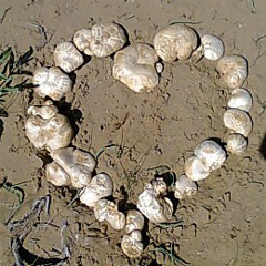 Нурбол Базарбаев, 08.05, Зарафшан