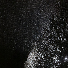 Василий Кукарцев, 12.07.1901, Санкт-Петербург