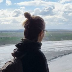 Елена Антонова, 15.06, Bruxelles