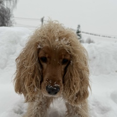 Анастасия Балякина, Москва