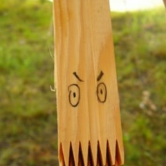 Nikita Lapshin, 30.12.1985