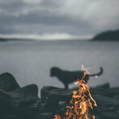 Влад Pay, 13.10, Алматы