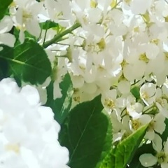 Лида Богдановская, 27.02.1987, Санкт-Петербург