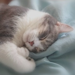 Екатерина Дмитриевна, 06.11