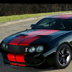 Антон Куренбин, Томск