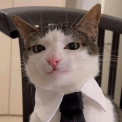 Владислав Шевченко, Малоярославец