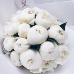 Ольга Гоглева, 06.09, Санкт-Петербург