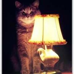 Павел Веселов, 23.03, Москва