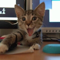 Меруерт Касымова, 25.07, Алматы