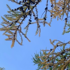 Луиза Мовсурова, 09.02.1988, Москва