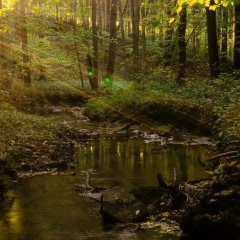 Захар Мищенко