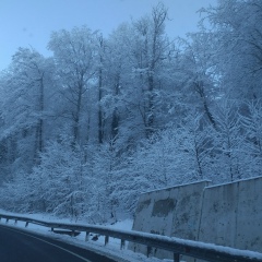 Алексей Накул, 21.01.1920, Краснодар