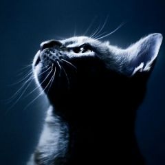 Людмила Лангазов, 09.08, Ужгород