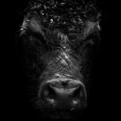 Андрей Мраморнов, 30.09.1985, Москва