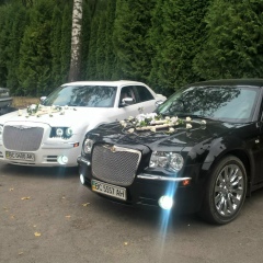 Алла Попудрибко, 28.08, Черкассы