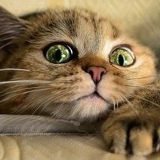 Алексей Ткаченко, 29.07.1982, Сумы