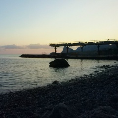 Светлана Швец, 22.01.1991, Донецк