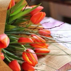 Айгерим Салимбаева, 22.01.1986, Алматы