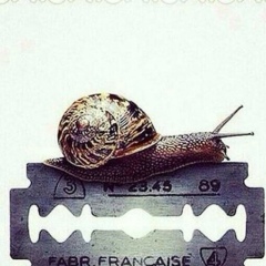 Талант Маткадыров