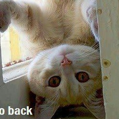 Лера Петрова, 22.06.1922, Москва