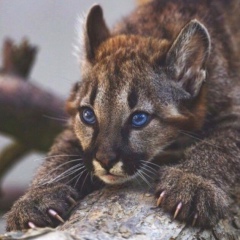 Алеся Соколова, 29.01.1989, Москва