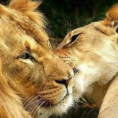 Диана Пухаева, 16.05, Владикавказ