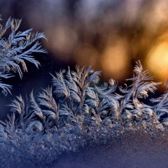 Галия Салахова, 30.12.1988, Самара