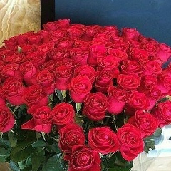 Татьяна Печенкина, 23.08, Санкт-Петербург