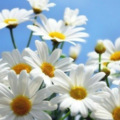 Ірина Руденко, 27.01