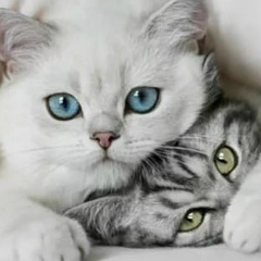 Екатерина Петрова, 17.05, Екатеринбург