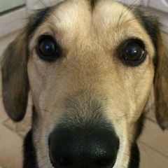 Евгений Кудряшов, 12.02, Санкт-Петербург