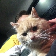 Андрей Каргин, 31.08, Санкт-Петербург