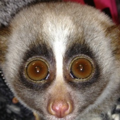 Татьяна Овчинникова, 24.08, Москва