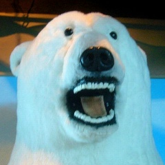 Alexander Shipilov, 09.12, Барнаул