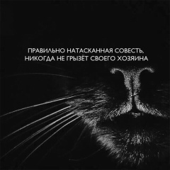 Хади Шибилова, 10.04.1995