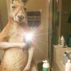 Олжас Арыкбаев, 29.05, Москва