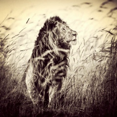 Акылбек Абиш, 22.06, Актобе