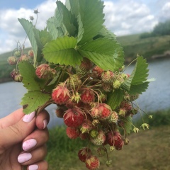 Юлия Базыка, 04.02.1978, Прохладный