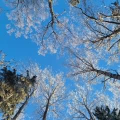 Николай Кедрин, 01.06, Saint John's