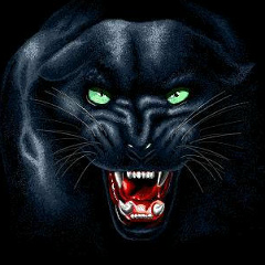 Марина Богданова, 15.06, Санкт-Петербург