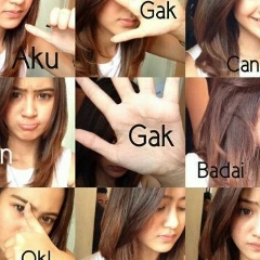 Salshabilla Adriani, 12.08