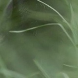 Андрей Кондраков, 26.05, Новосибирск