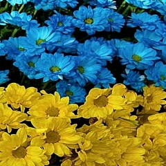 Алёна Державец, 09.04, Darmstadt