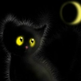 Lola Khayrullaeva, 20.04, Ташкент