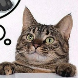 Стас Филиппов, 06.01.1989, Якутск